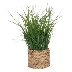 Műfű vízi hialintusban, 70 cm magas.